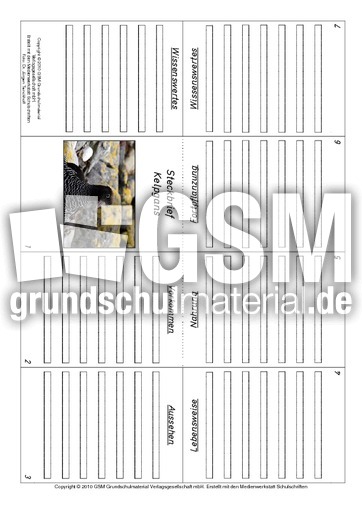 Faltbuch-Kelpgans.pdf